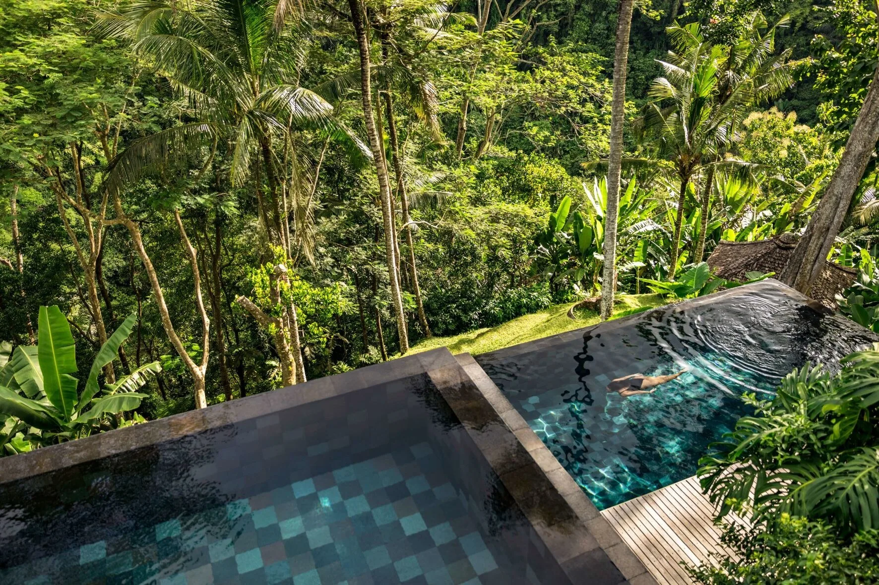 Swimming pool at COMO Shambhala Estate