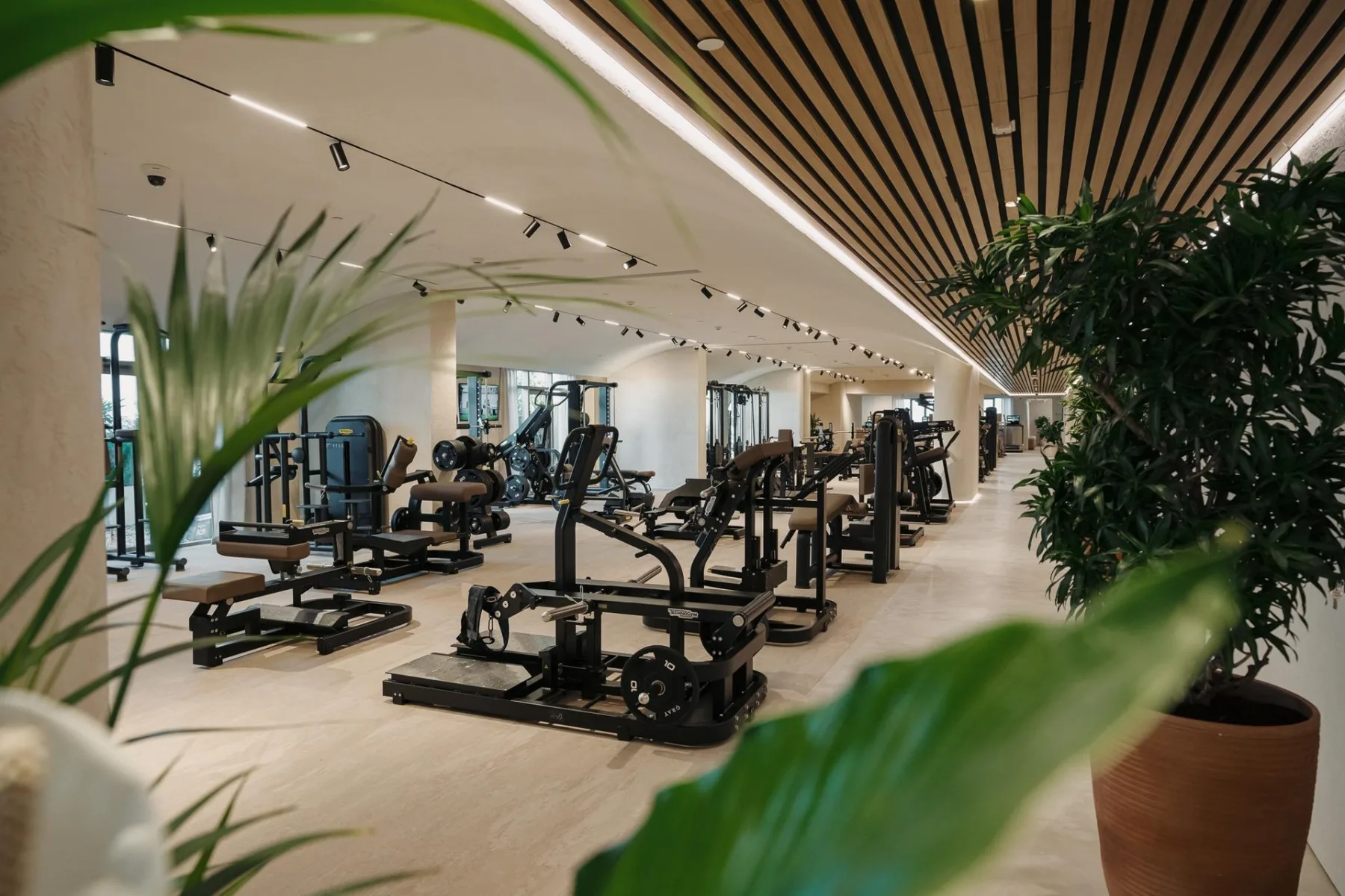 Gray Wellness Club strength floor with Technogym machines and indoor greenery