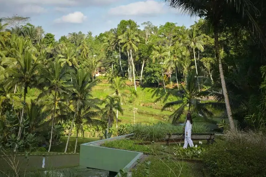 Tropical hillside garden with palms, a reflecting pool and a robed figure