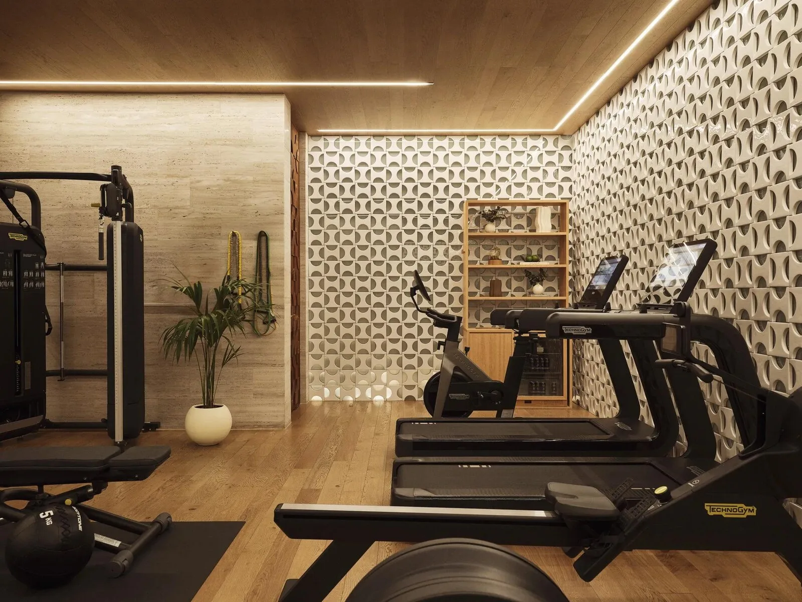 Fitness room with cardio and strength equipment at Rosewood Villa Magna.